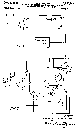 Hubbard Patent 1