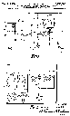 Hubbard Patent 2