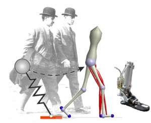 Fig 1: From Principles to Motor Control to Rehabitation