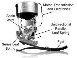 Powered Ankle Prosthesis