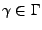 $ \gamma \in \Gamma$