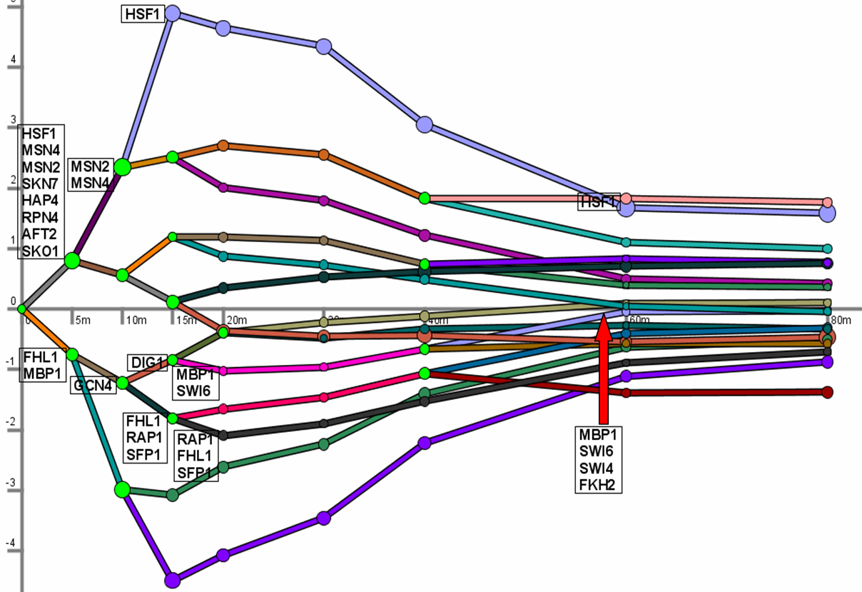 DREM map of heat 
shock 
response in yeast