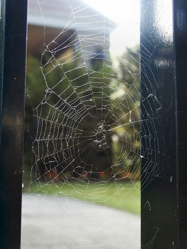 Web