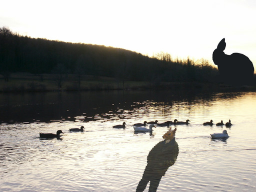 Sunset at a lake