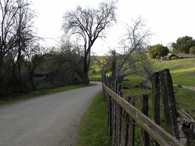 Curved road