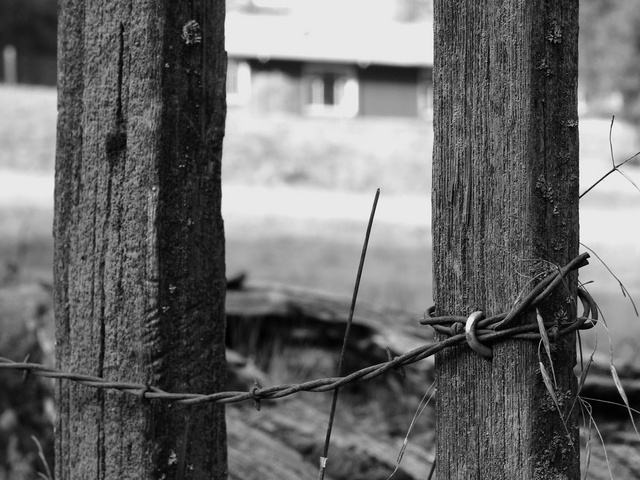 Sharp fence