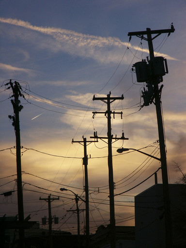 Silhouetted telephone poles