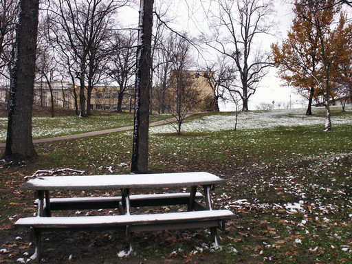 Untouched bench