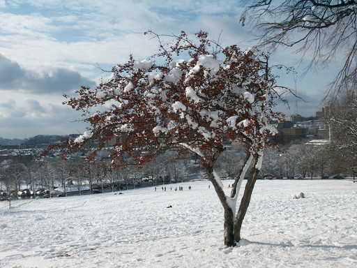 Touch of Winter