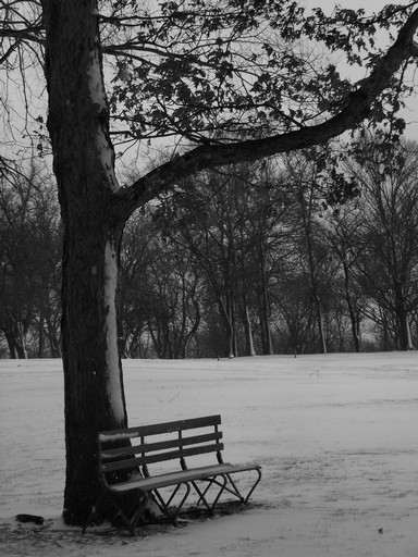 Bench in snow