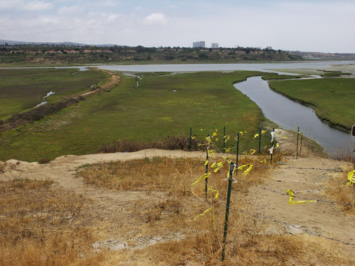 NBEP looking towards city