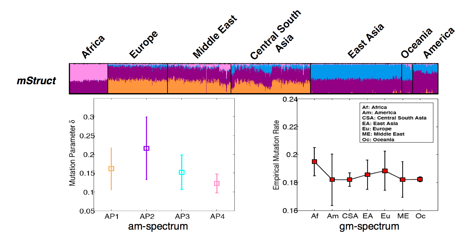 An example mStruct result showing a population map and mutation spectra