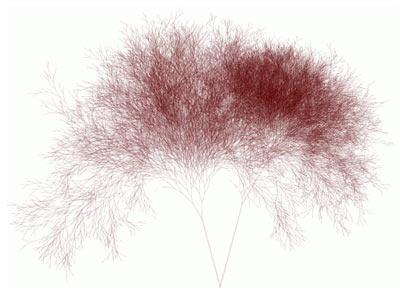 Binary Tree Images
