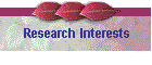 Research Interests