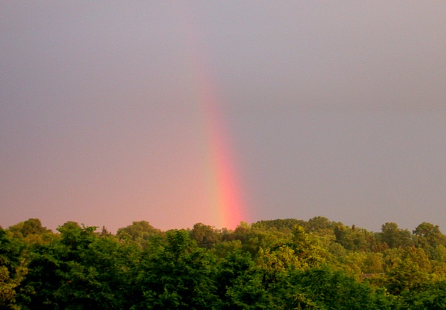 Pot of Gold!