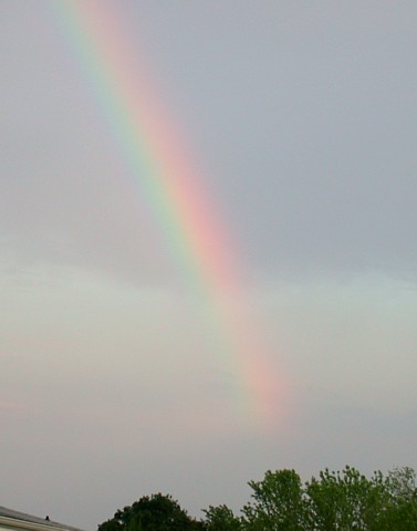 Primary rainbow, 2003/6/28