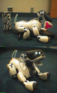 Tekkotsu: Aibo ERS-7