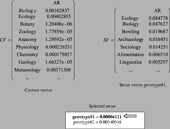 \includegraphics[width=13cm, clip]{heuristica_dominios.eps}