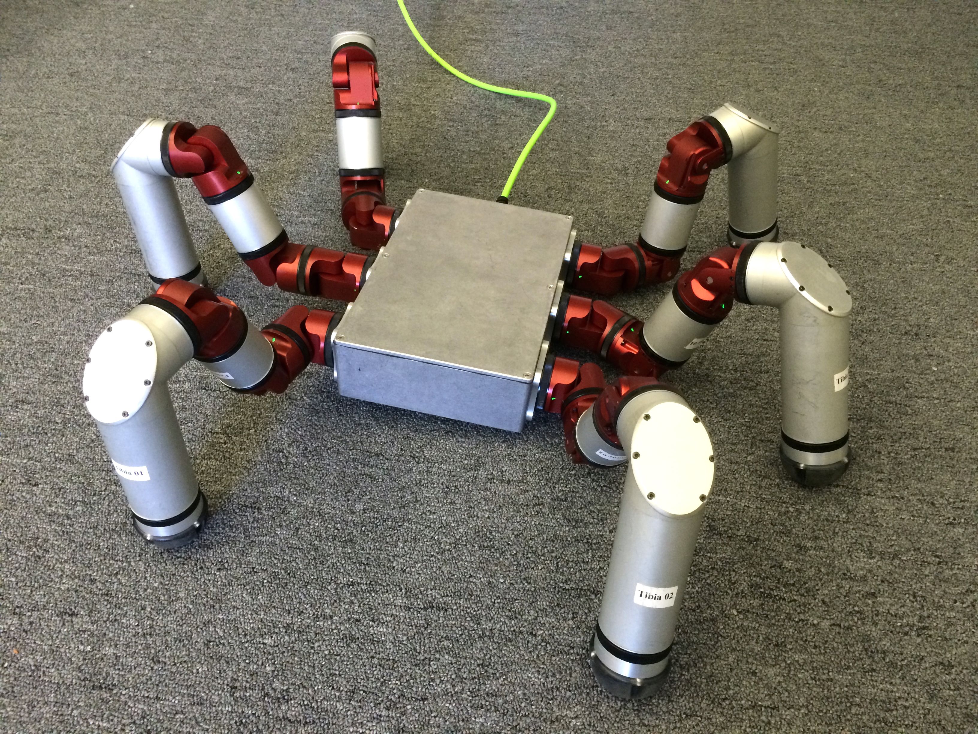 Modular store snake robot