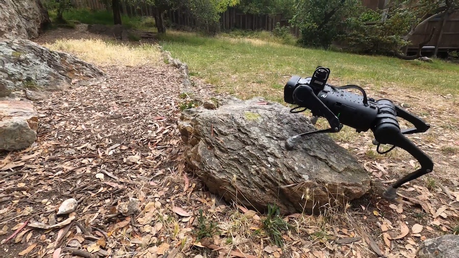  A black four-legged robot that looks very dog-like clambers over a rock in the woods.