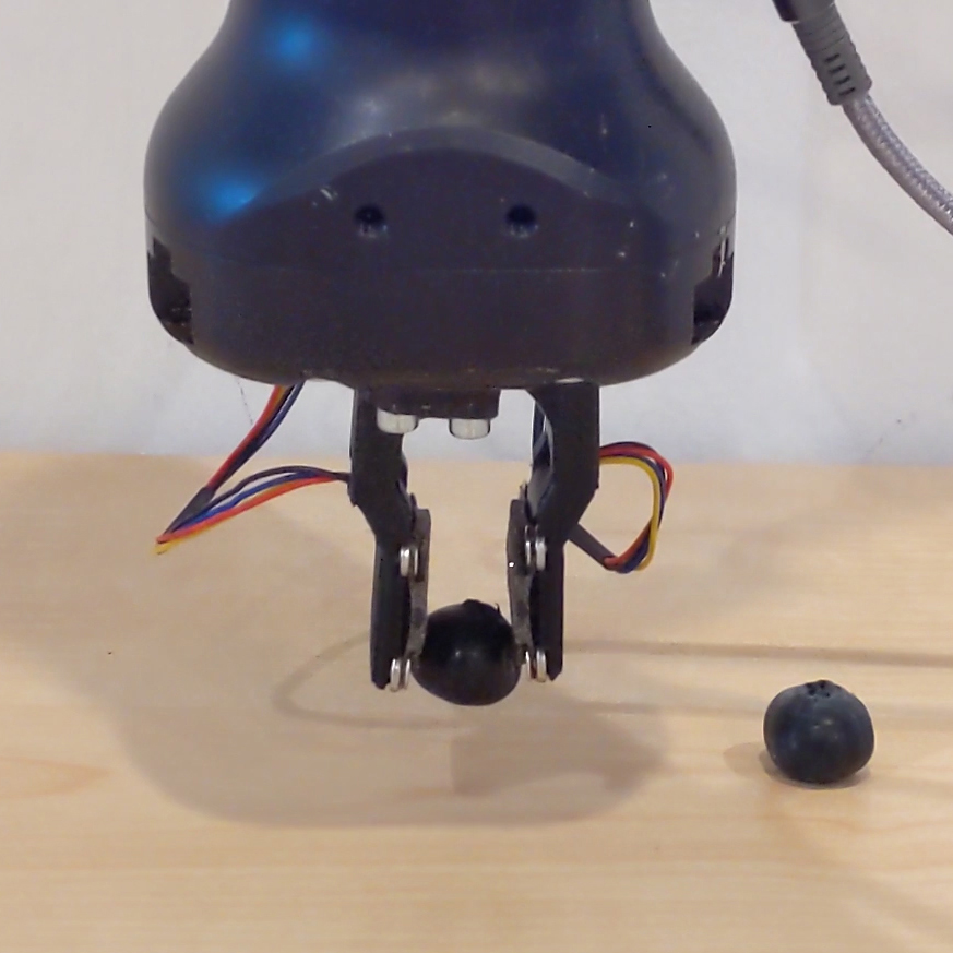 A robotic grabber using ReSkin picks up a blueberry, while another blueberry sits on the table.