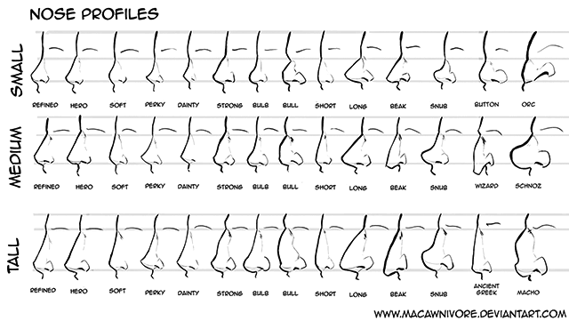 Nose chart showing various profiles