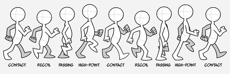 8 stages of animated walk cycle