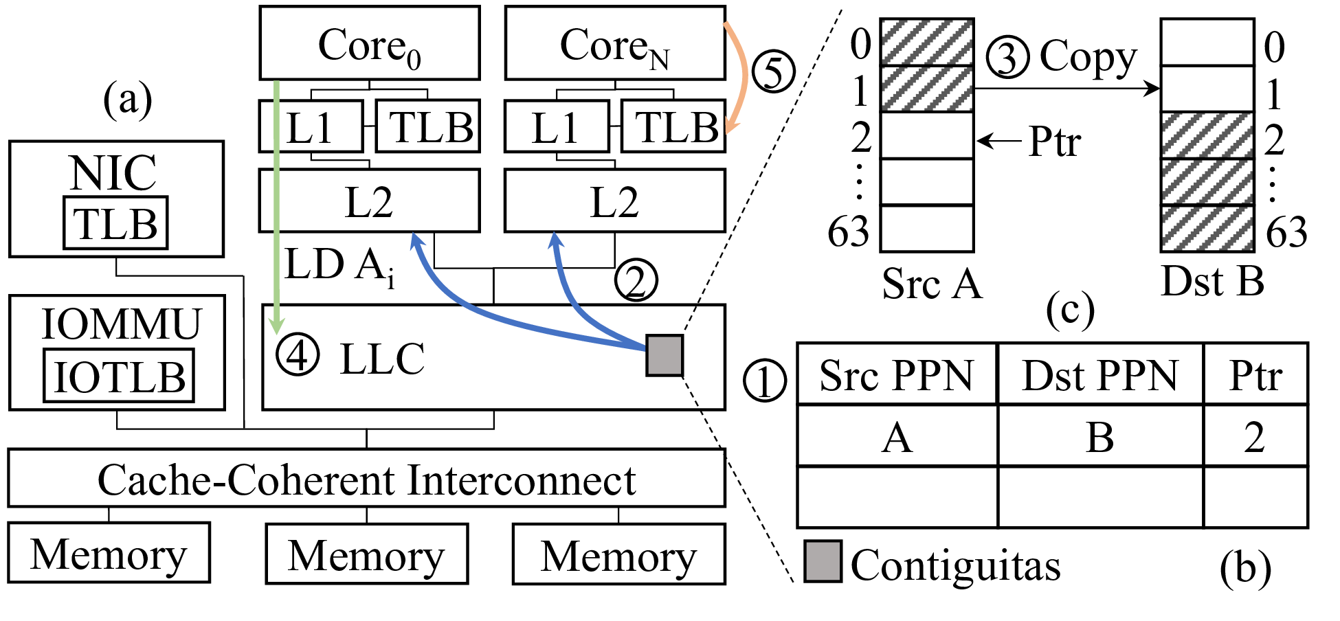 Contiguitas hardware overview.