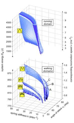 Family of solutions to locomotion based on spring mass model