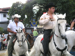 Horse parade, detail