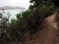 The cliffside trail