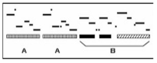 Structure
                    Analysis Icon